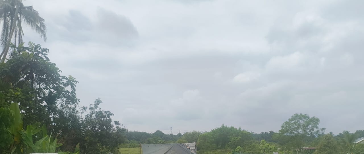 Surveillance of Plantation Perimeter